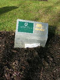 Brookwood Military Cemetery - Sher Gul, 